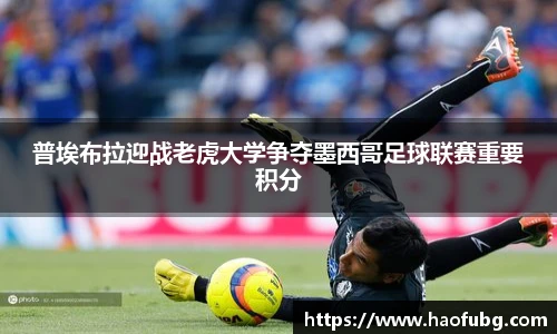 普埃布拉迎战老虎大学争夺墨西哥足球联赛重要积分